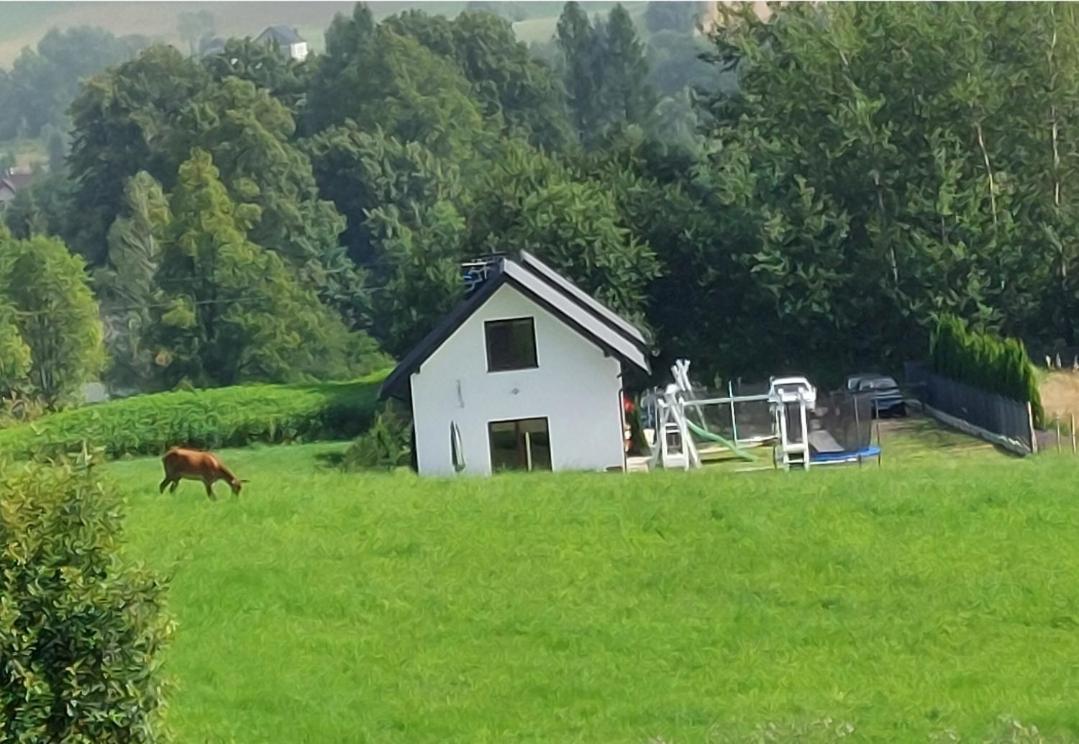 Domek Pod Holica 2 Bieszczady Устшики-Дольне Экстерьер фото